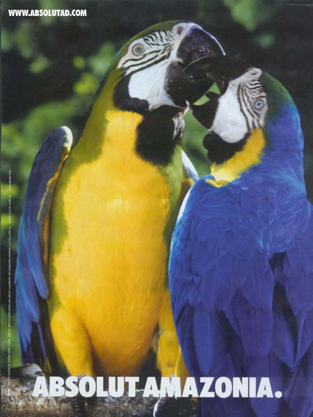 Two parrots.