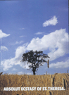 Wheat field with bottle shaped cloud