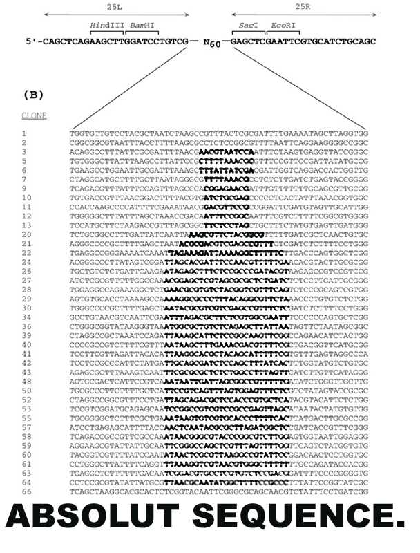 This an ad that I made is inspired in a sequence of DNA, you can see the blocks of this molecule like A,C,T,G.
